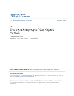 Topological Semigroups of Non-Negative Matrices.
