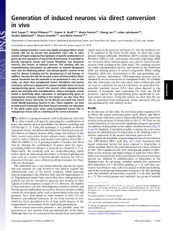 Generation of induced neurons via direct conversion in vivo