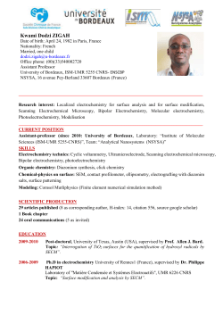 Kwami Dodzi ZIGAH - L` Institut des Sciences Mol&eacute;culaires
