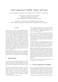 Active Appearance Models: Theory and Cases
