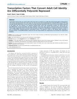 Transcription Factors That Convert Adult Cell Identity