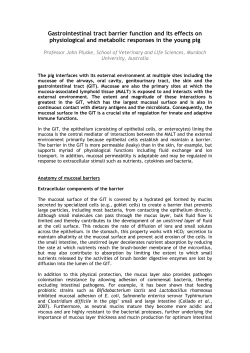 Gastrointestinal tract barrier function and its effects