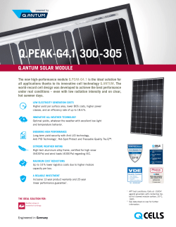 Q.PEAK-G4.1 300-305 - Q