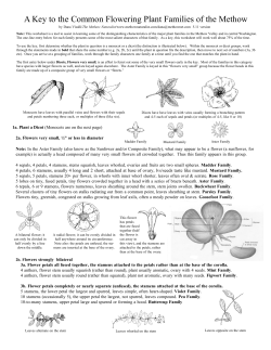 Bot-Key to Flowering Plants
