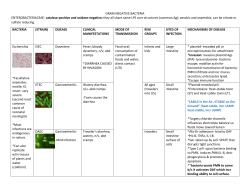 GRAM NEGATIVE BACTERIA ENTEROBACTERIACEAE- catalase