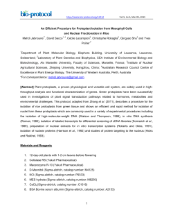1 An Efficient Procedure for Protoplast Isolation from Mesophyll