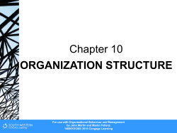 Functional organization structure