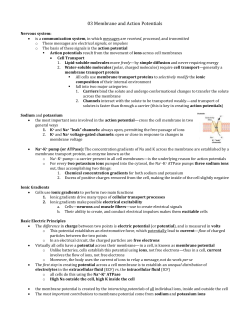 03 Membrane and Action Potentials Nervous system: is a