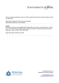 Protein sequences bound to mineral surfaces persist into deep time