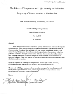 The Effects of Temperature and Light Intensity on