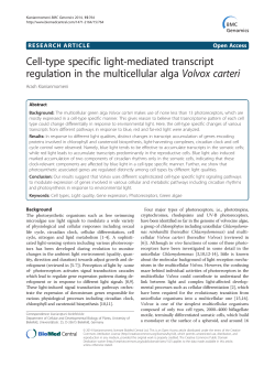 Cell-type specific light-mediated transcript regulation in the
