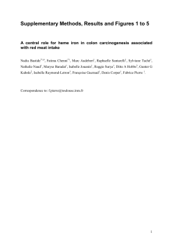 Supplementary Material