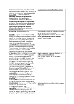Plant Families and species, recorded as plants and/or suggested for