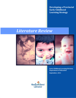 Literature Review - Department of Education