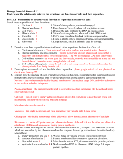 Biology Essential Standard 1.1 Understand the relationship between