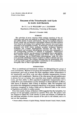 Enzymes of the Tricarboxylic Acid Cycle in Acetic