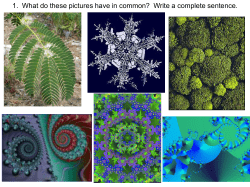 Fractals - Hinsdale Township High School District 86