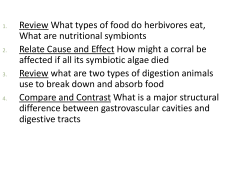 Ch 27 Animal Systems I