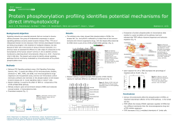 Protein phosphorylation profiling identifies potential mechanisms for