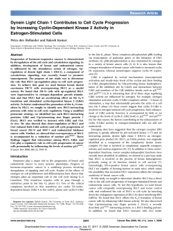 Dynein Light Chain 1 Contributes to Cell Cycle