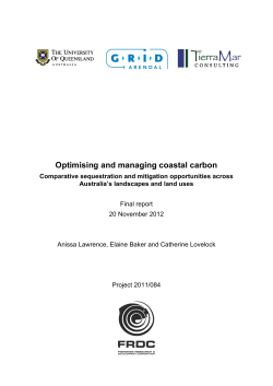 Optimising and managing coastal carbon