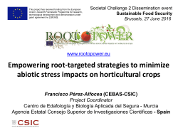 ROOTOPOWER Empowering root-targeted strategies to minimize