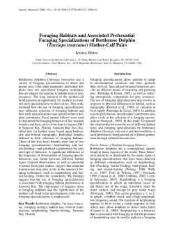 Foraging Habitats and Associated Preferential Foraging