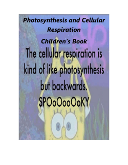 Photosynthesis and Cellular Respiration Children`s Book Project