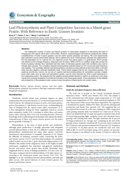 Leaf Photosynthesis and Plant Competitive Success in a Mixed