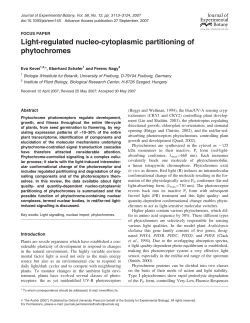 Light-regulated nucleo-cytoplasmic partitioning of