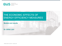 the economic effects of energy efficiency measures