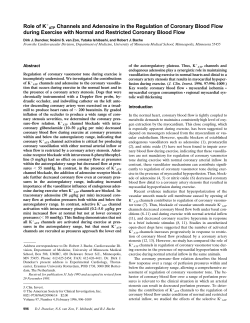 Role of K ATP Channels and Adenosine in the Regulation of