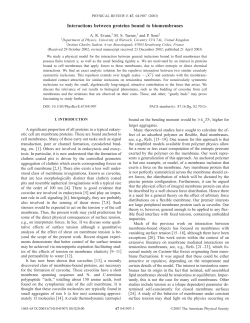 Interactions between proteins bound to biomembranes