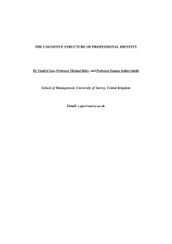 The cognitive structure of professional identity