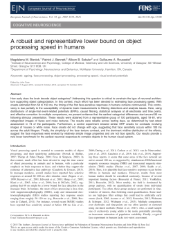 A robust and representative lower bound on object processing