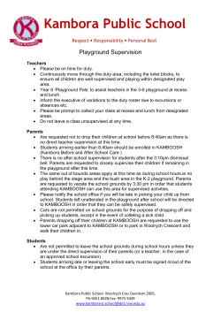 ambora Playground Supervis