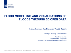 COGNITIVE ASPECTS OF COLLABORATION IN 3D VIRTUAL