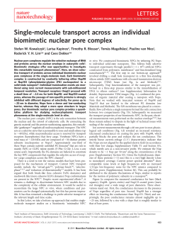 Single-molecule transport across an individual