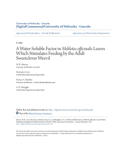 A Water-Soluble Factor in Melilotus officinalis Leaves Which