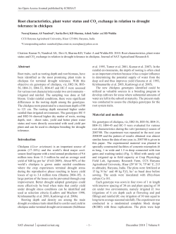 Root characteristics, plant water status and CO