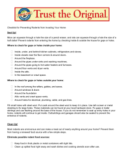 Checklist for Preventing Rodents from Invading Your Home Seal Up