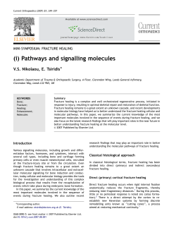 (i) Pathways and signalling molecules