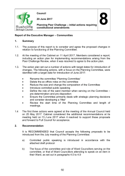 Item 8 Planning Peer Challenge Initial Actions Requiring
