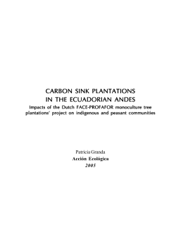 carbon sink plantations in the ecuadorian andes