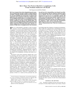 Bcl-2 Does Not Protect Burkitt`s Lymphoma Cells