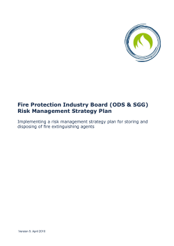 Risk Management Strategy Plan - Fire Protection Association Australia
