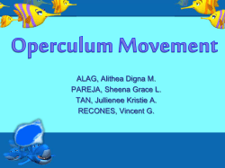 Operculum Movement