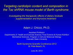 Targeting cardiolipin content and composition in the Taz shRNA