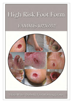 High Risk Foot Form Guidelines | Patient Safety and Quality