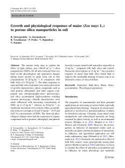 Growth and physiological responses of maize (Zea mays L.) to